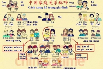 Học ngành Tiếng Trung Quốc ở đâu?