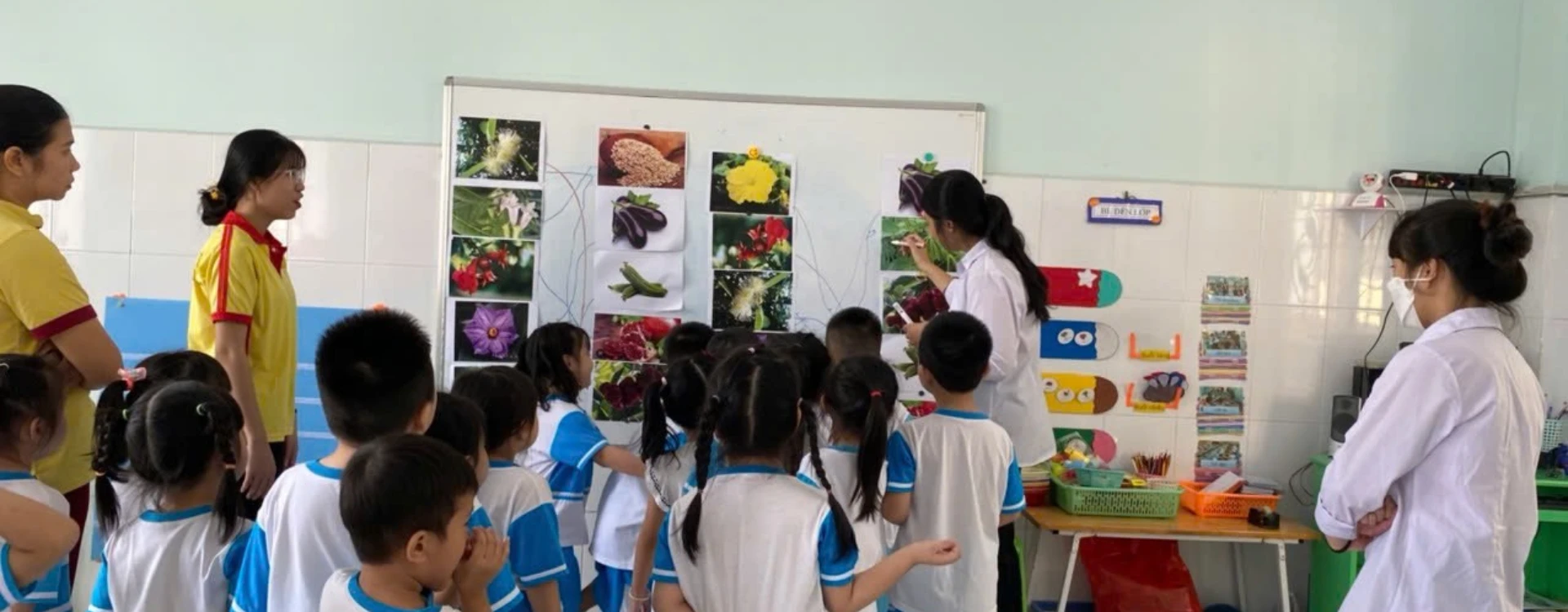 Cơ hội nghề nghiệp sinh viên Khoa sư phạm