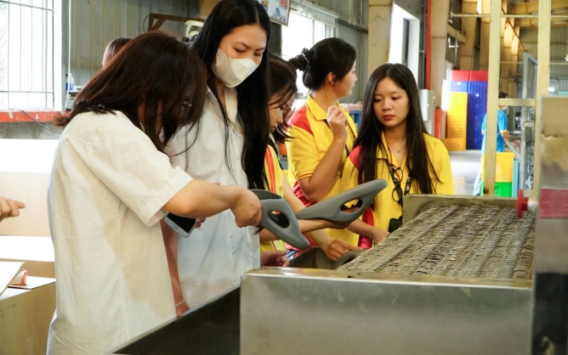 Sinh Viên Ngành Tiếng Trung Quốc Trải Nghiệm Thực Tế Tại Doanh Nghiệp Sunyin Việt Nam