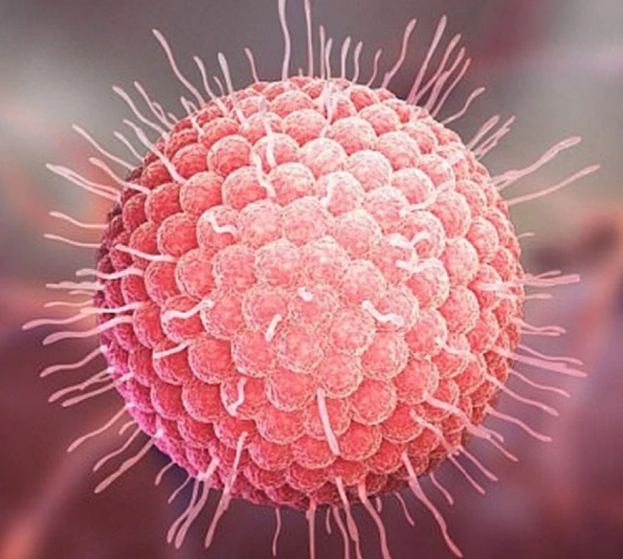 BỆNH THỦY ĐẬU NHỮNG ĐIỀU CẦN BIẾT | Trường Cao Đẳng Đại Việt Sài Gòn