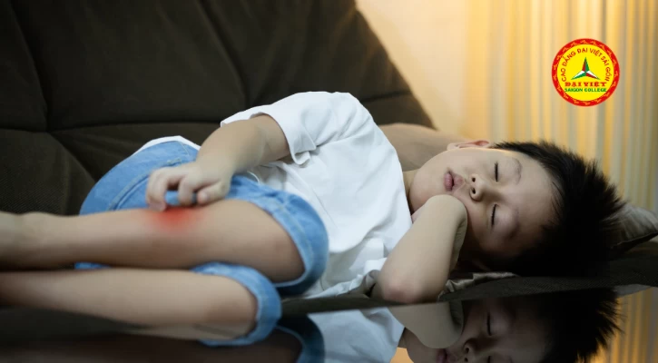 Chăm Sóc Tại Nhà Trẻ Mắc Bệnh Sốt Xuất Huyết Dengue | Trường Cao Đẳng Đại Việt Sài Gòn