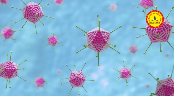 Chăm Sóc Và Phòng Ngừa Adenovirus Ở Trẻ Em | Trường Cao Đẳng Đại Việt Sài Gòn