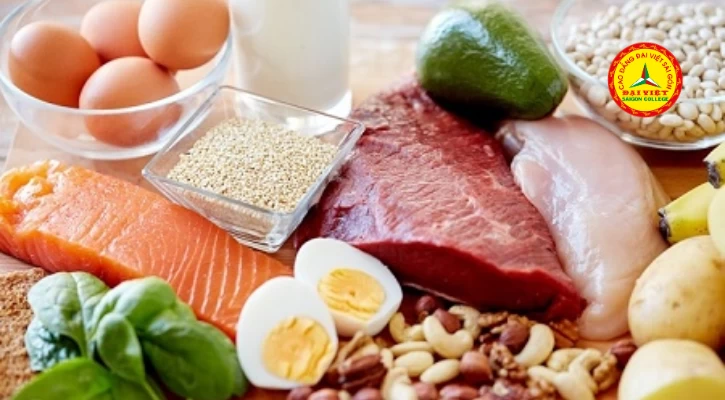 Chế Độ Ăn Uống Cho Trẻ Trong Ngày Hè | Trường Cao Đẳng Đại Việt Sài Gòn