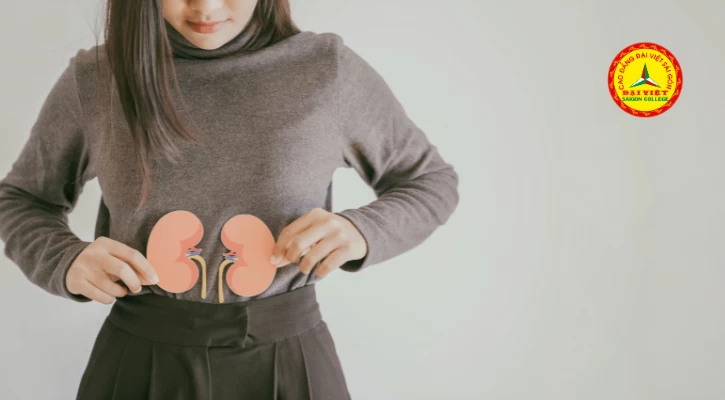 Chế Độ Dinh Dưỡng Cho Bệnh Nhân Suy Thận Mạn | Trường Cao Đẳng Đại Việt Sài Gòn