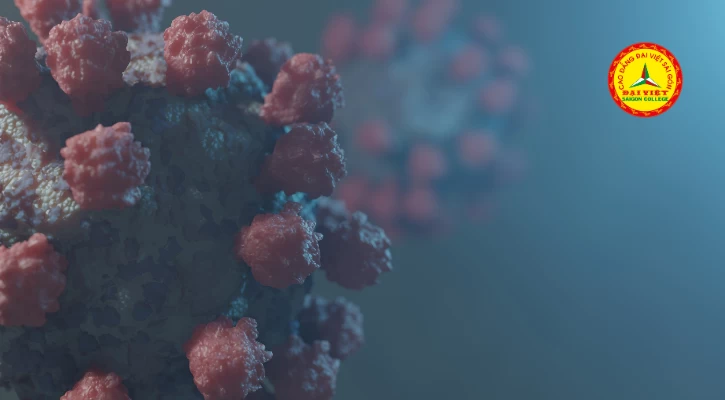 Nghiên Cứu Khẳng Định Chủng Mới Của Virus Corona Có Thể Truyền Bệnh Khi Bệnh Nhân Không Có Triệu Chứng Là Không Chính Xác | Trường Cao Đẳng Đại Việt Sài Gòn