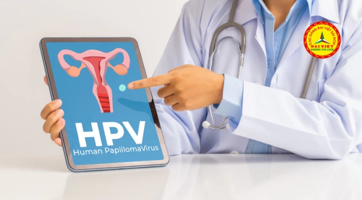 Những Điều Cần Biết Về Virus Hpv | Trường Cao Đẳng Đại Việt Sài Gòn