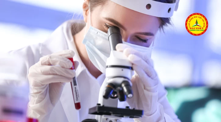 Trình Dược Viên Là Gì Và Những Điều Chưa Biết Về Nghề Trình Dược? | Trường Cao Đẳng Đại Việt Sài Gòn