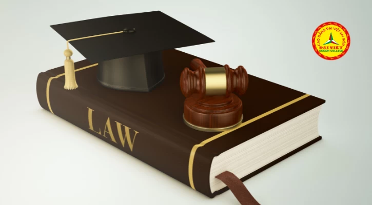Vì Sao Bạn Phải Học Luật? | Trường Cao Đẳng Đại Việt Sài Gòn