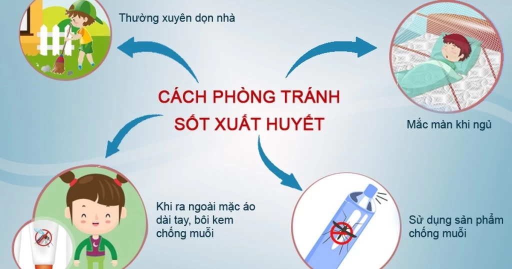 Cách phòng tránh sốt xuất huyết