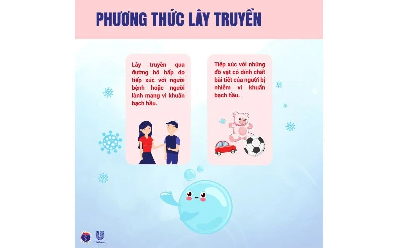 Chủ Động Phòng Chống Bệnh Bạch Hầu