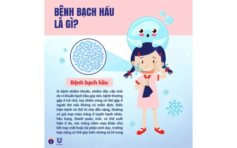 Chủ Động Phòng Chống Bệnh Bạch Hầu