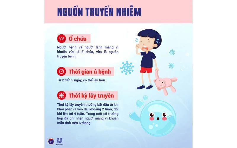 Chủ Động Phòng Chống Bệnh Bạch Hầu
