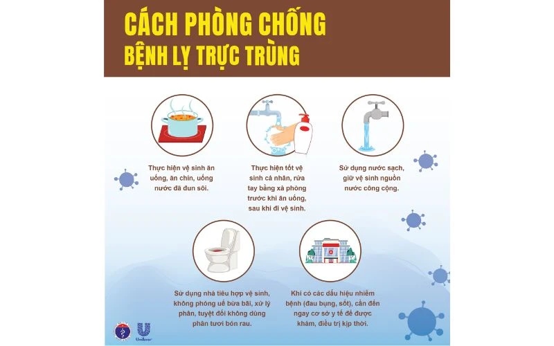 Chủ Động Phòng Chống Bệnh Lỵ Trực Trùng - Bảo Vệ Sức Khỏe Cả Gia Đình