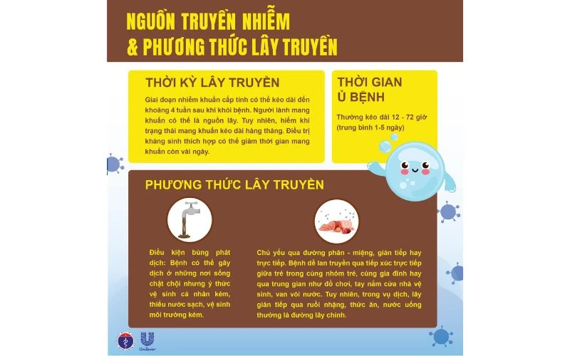 Chủ Động Phòng Chống Bệnh Lỵ Trực Trùng - Bảo Vệ Sức Khỏe Cả Gia Đình