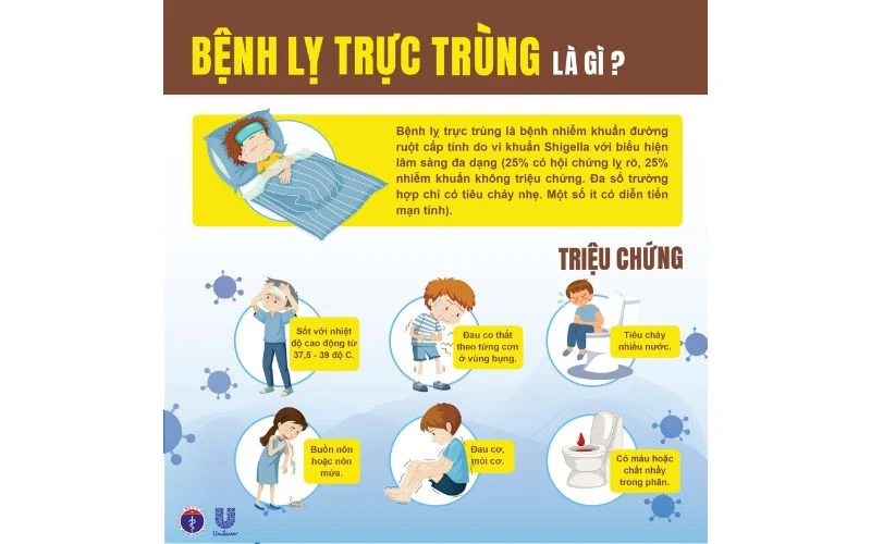 Chủ Động Phòng Chống Bệnh Lỵ Trực Trùng - Bảo Vệ Sức Khỏe Cả Gia Đình