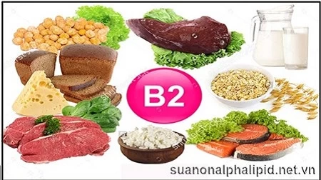 DINH DƯỠNG CHO TRẺ TRONG MÙA LẠNH