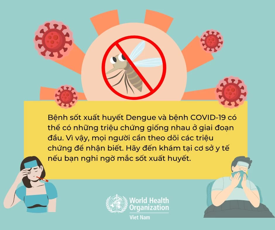 Sốt xuất huyết và COVID-19 - Những điều cần nên biết - 3