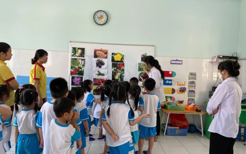 So Sánh Phương Pháp Dạy Học Montessori và Giáo Dục Truyền Thống tại Cao Đẳng Đại Việt Sài Gòn