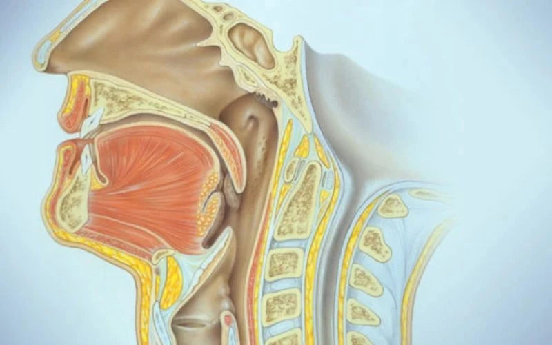 Ung thư khoang miệng: Nguyên nhân, dấu hiệu, chẩn đoán